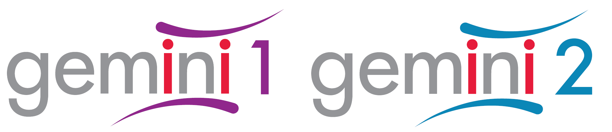 GEMINI Logo GEMINI Logo