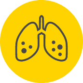 Lungs Icon