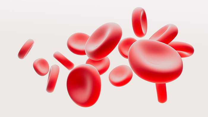 blood_cells_anaemia_octane_pakistan